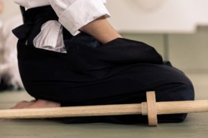 Read more about the article Problemy z kolanami w Aikido